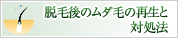 ムダ毛の再生と対処法